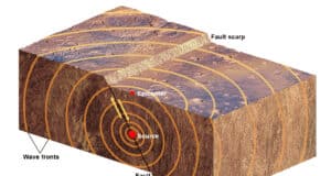 Sismik Dalga Ne demek?